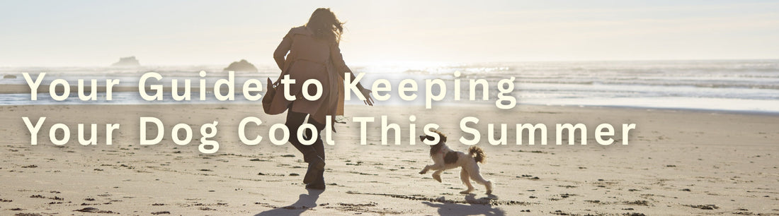 How To Keep Your Dog Cool