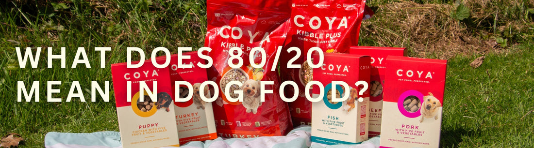 What is 80/20 Dog Food?