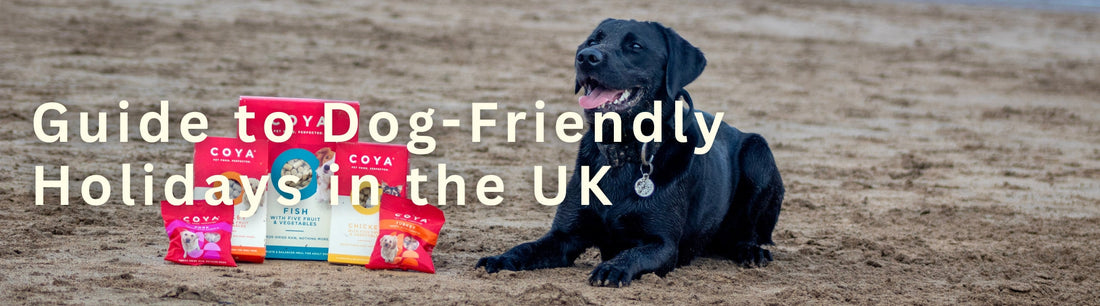 Dog-Friendly Holidays in the UK