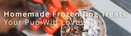 Homemade Frozen Dog Treats Your Pup Will Love