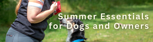 Summer Essentials for Dogs and Owners