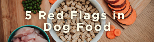 5 Red Flags in Dog Food