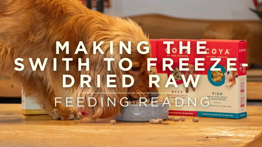 Making the switch to Freeze-Dried Raw
