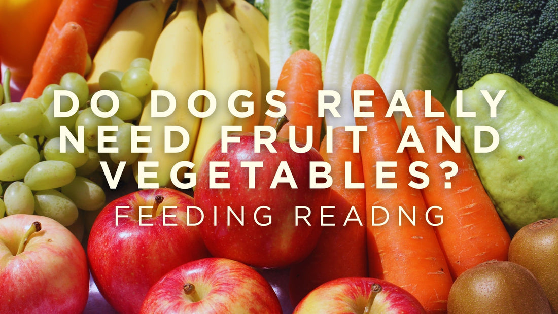 Do dogs really need fruit and vegetables in their diet?