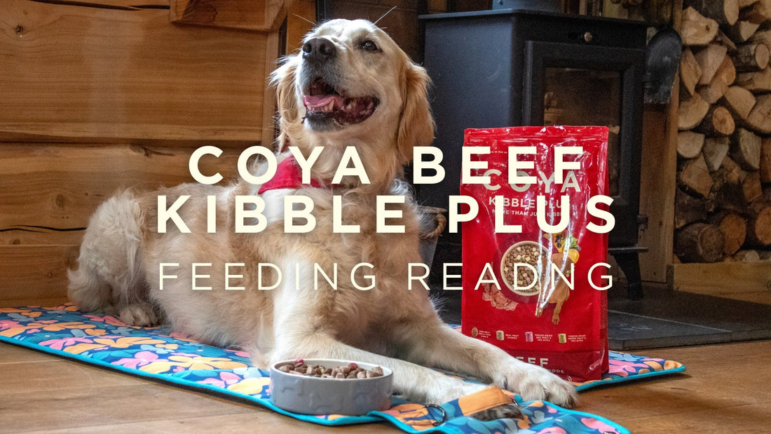 COYA Beef Kibble Plus