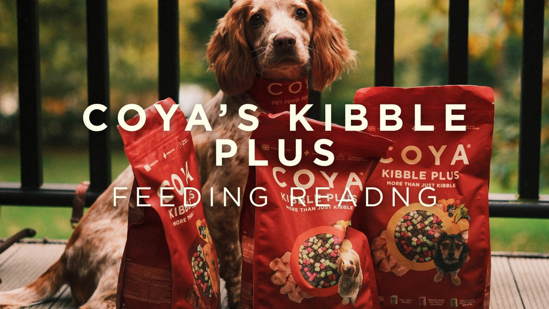 COYA's Kibble Plus