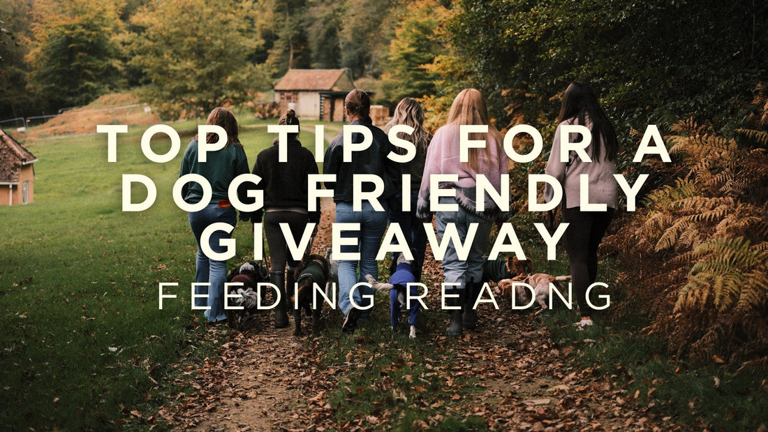 Top Tips For A Dog Friendly Getaway