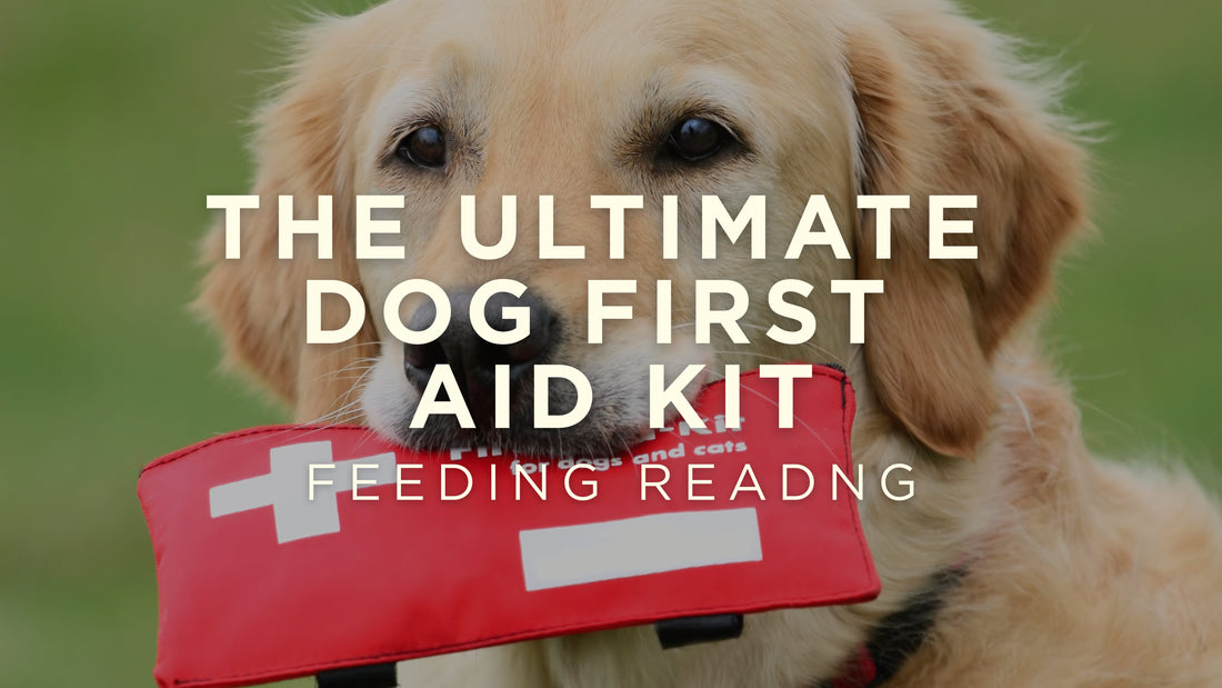 The Ultimate Dog First Aid Kit