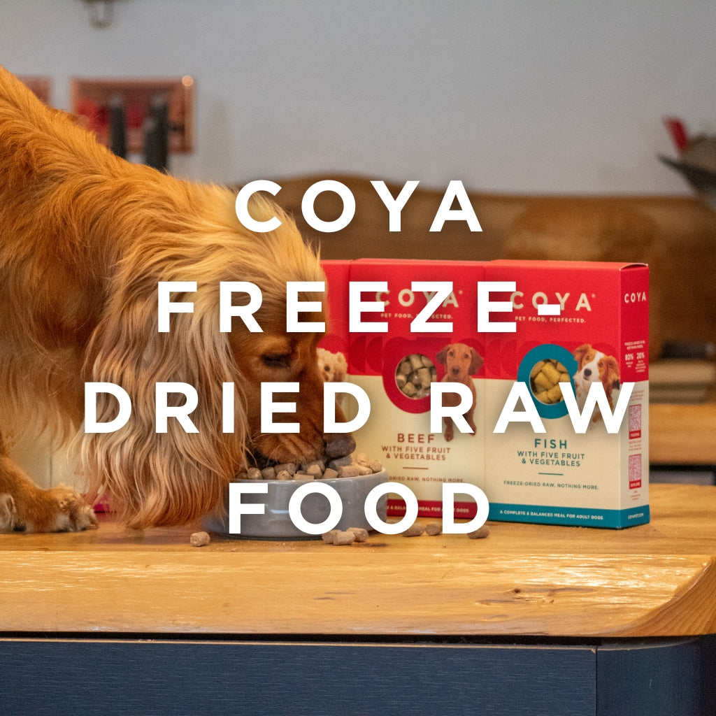 COYA Freeze-Dried Raw Food