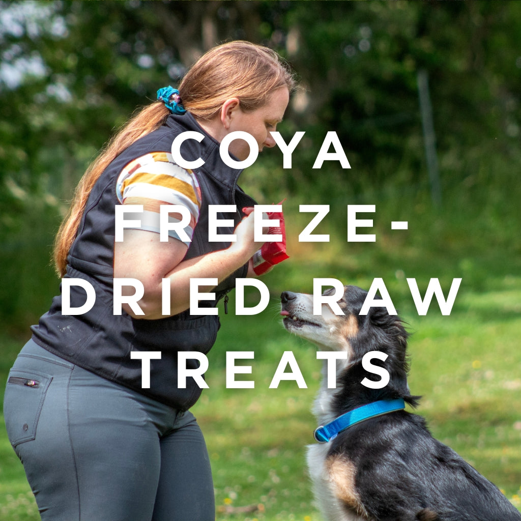 COYA Freeze-Dried Raw Treats