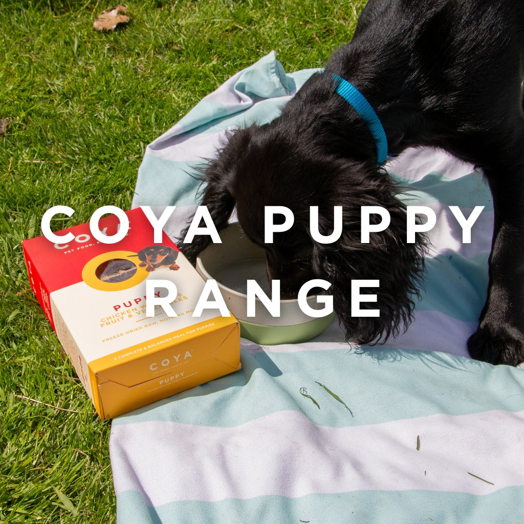 COYA Puppy Range