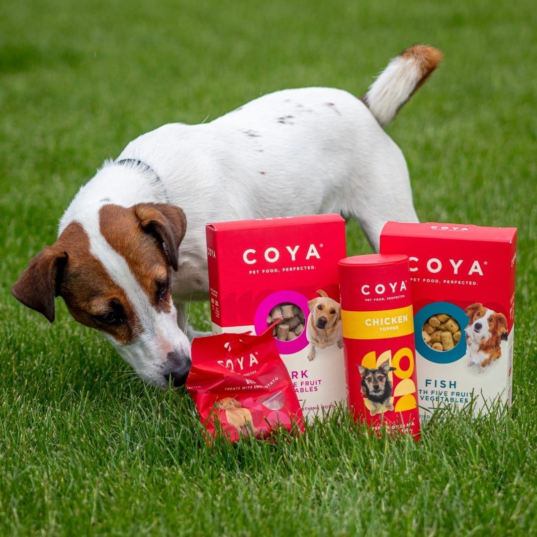 Coya Adult Dog Food - Pork - COYA