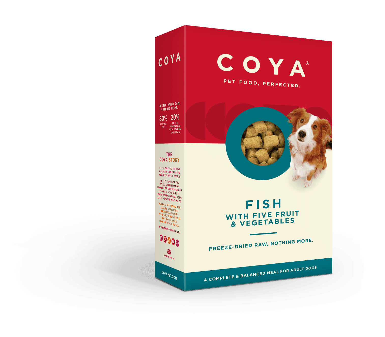 Coya Adult Dog Food - Fish - COYA