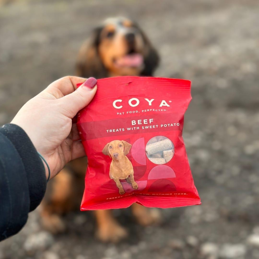 Coya Adult Dog Treats - Beef - COYA