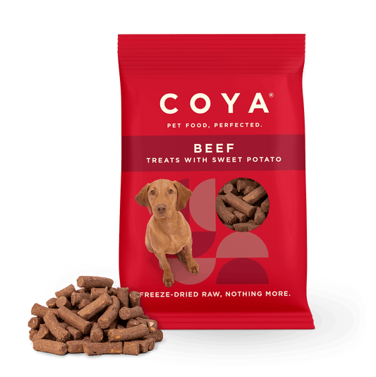 Coya Adult Dog Treats - Beef - COYA