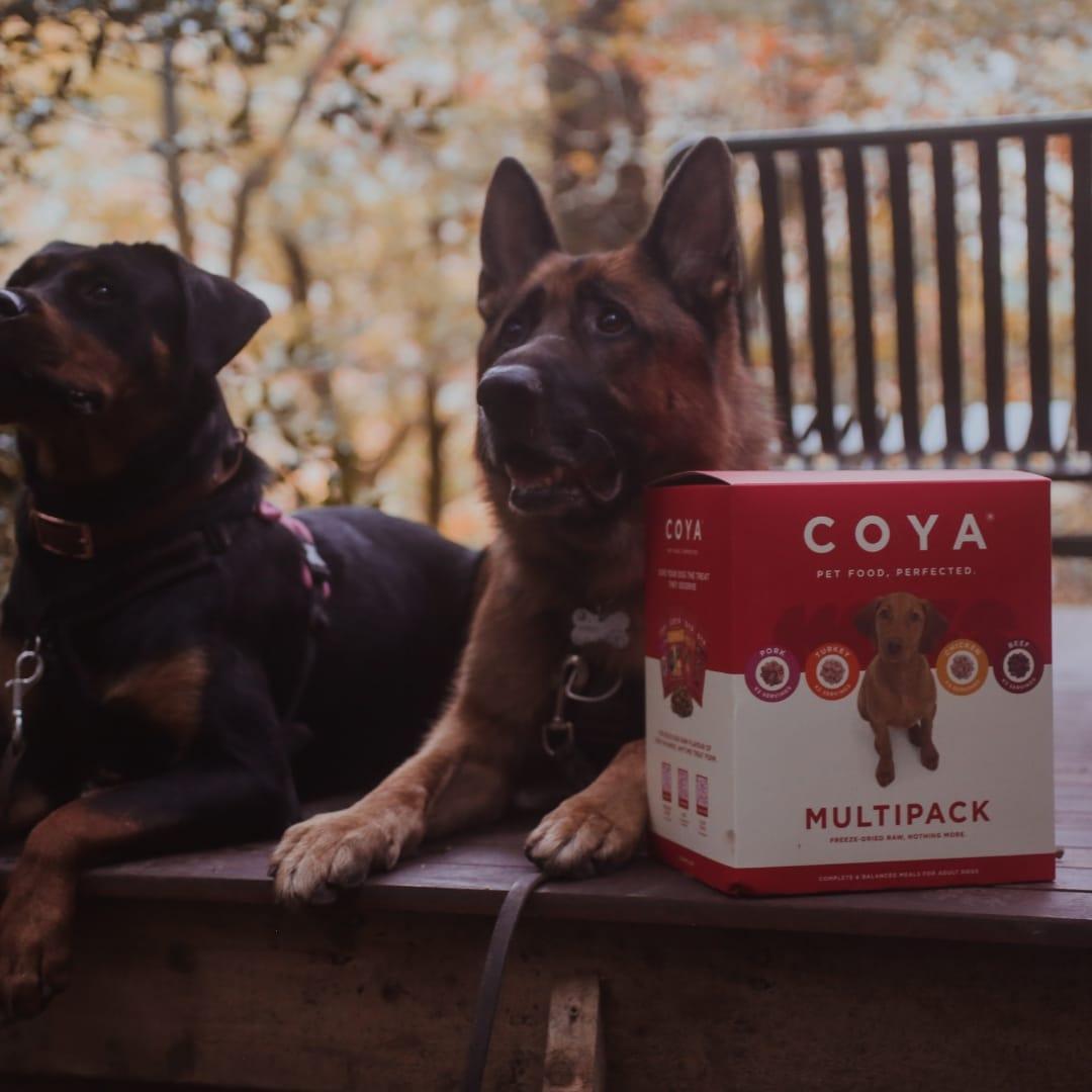 Coya Adult Dog Food - 12 x 150g Multipack - COYA