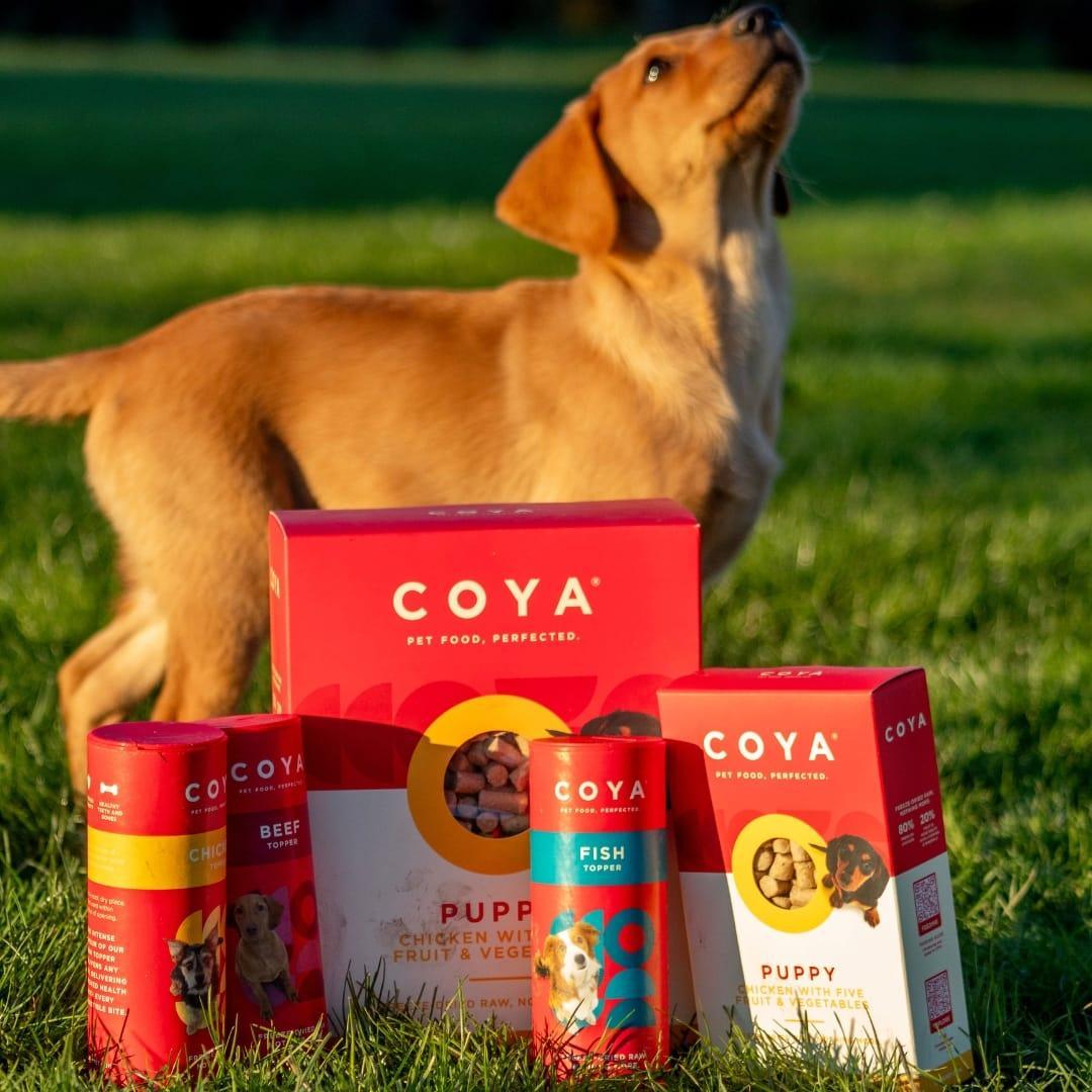 Coya Puppy Dog Food - Chicken - COYA