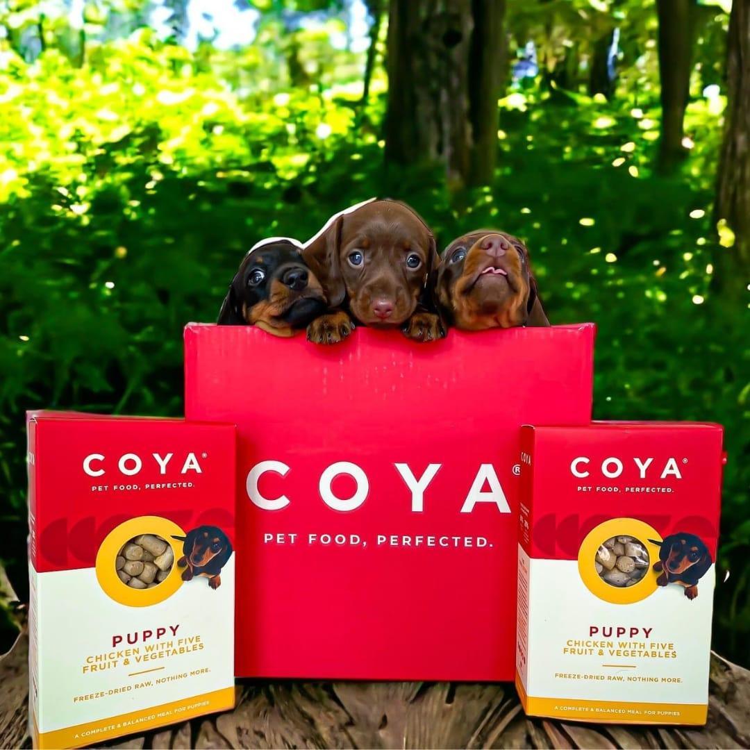 Coya Puppy Dog Food - Chicken - COYA