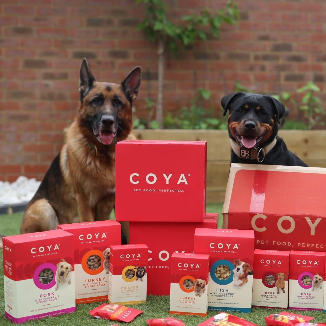 Coya Adult Dog Food - Turkey - COYA