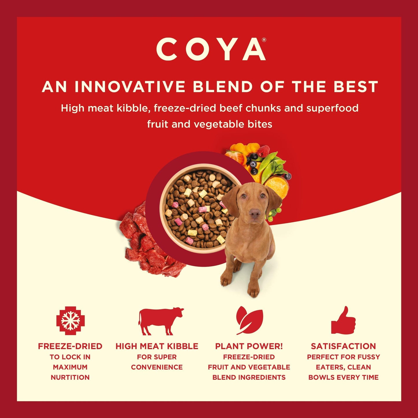 Coya Kibble Plus - Beef - COYA