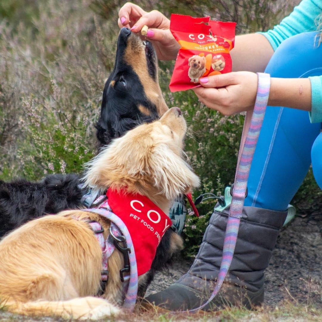 Ol Roy wholesale Dinner Rounds Dog - Main Image
