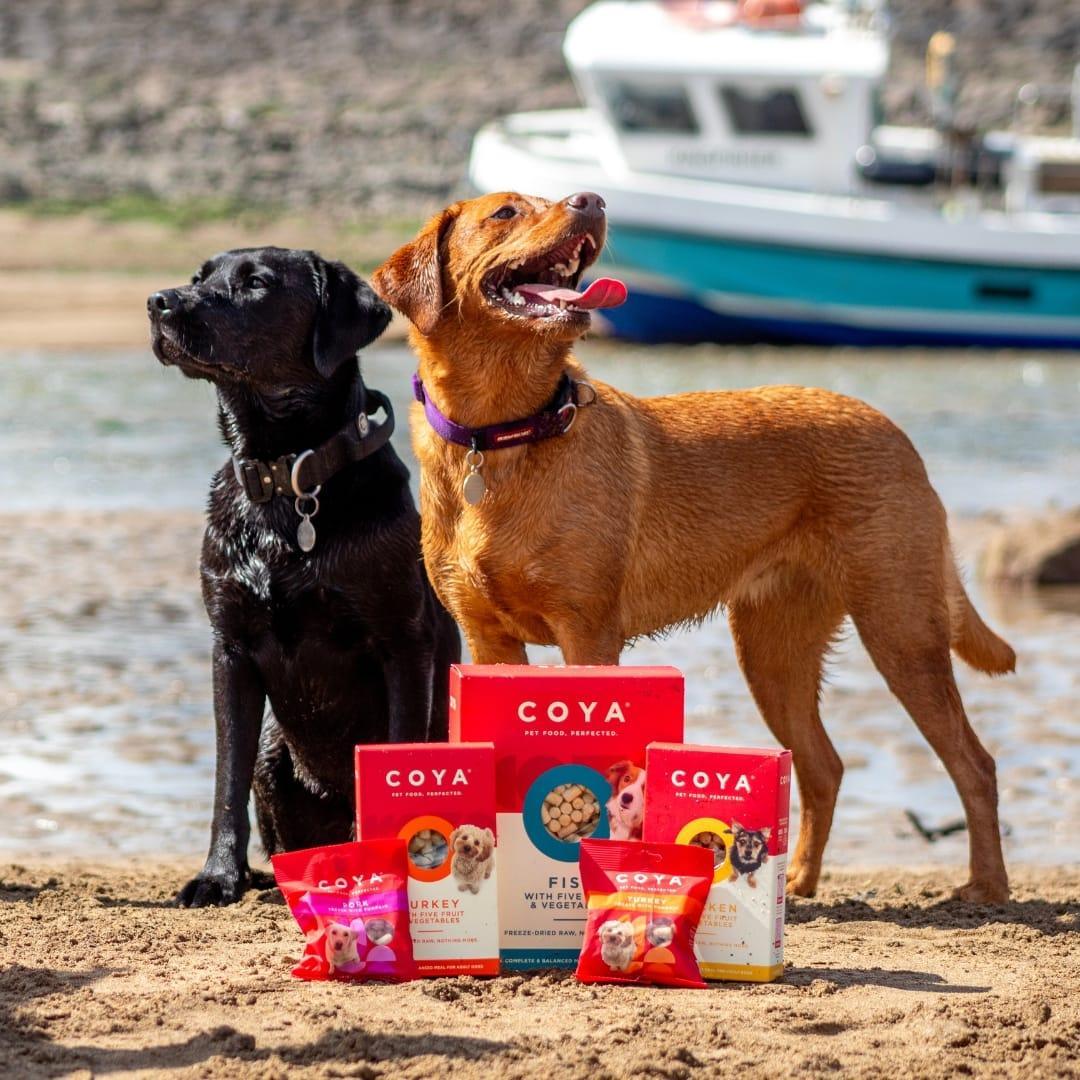 Coya Adult Dog Food - Turkey - COYA