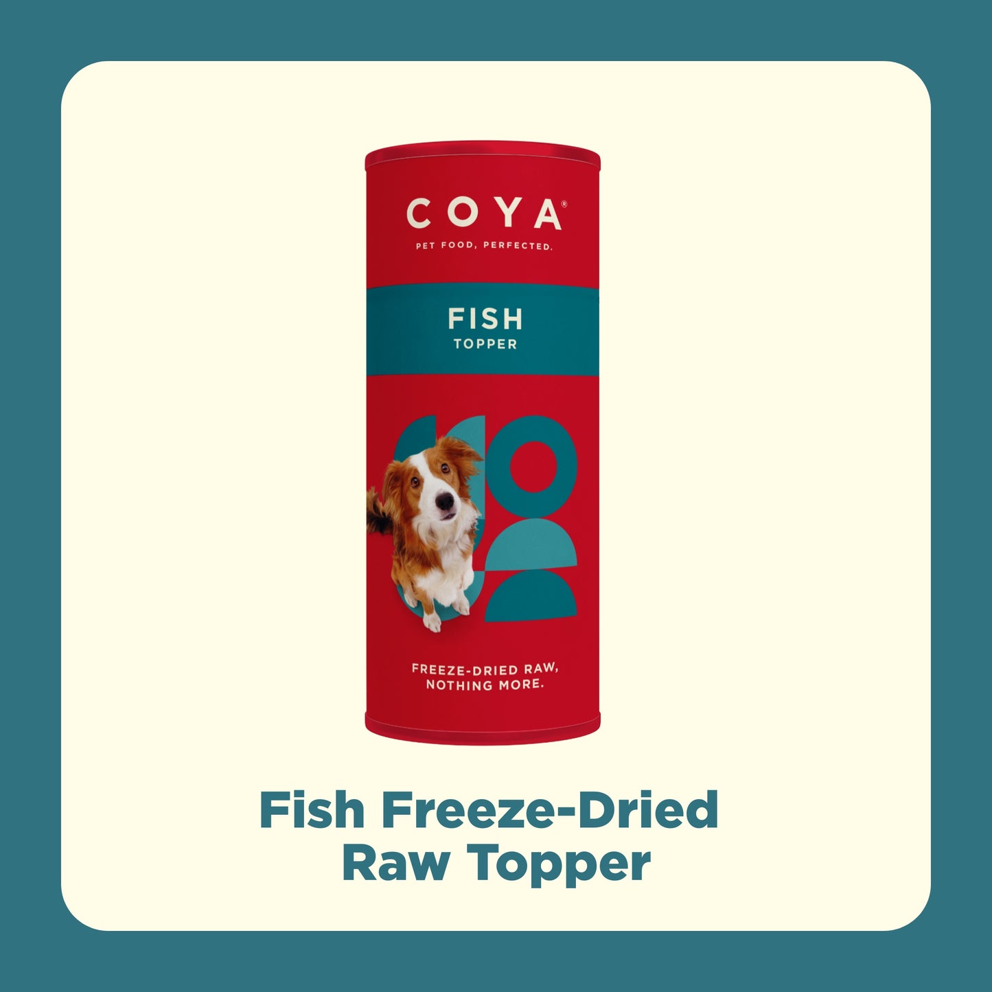 Best Barking Behaviour Bundle