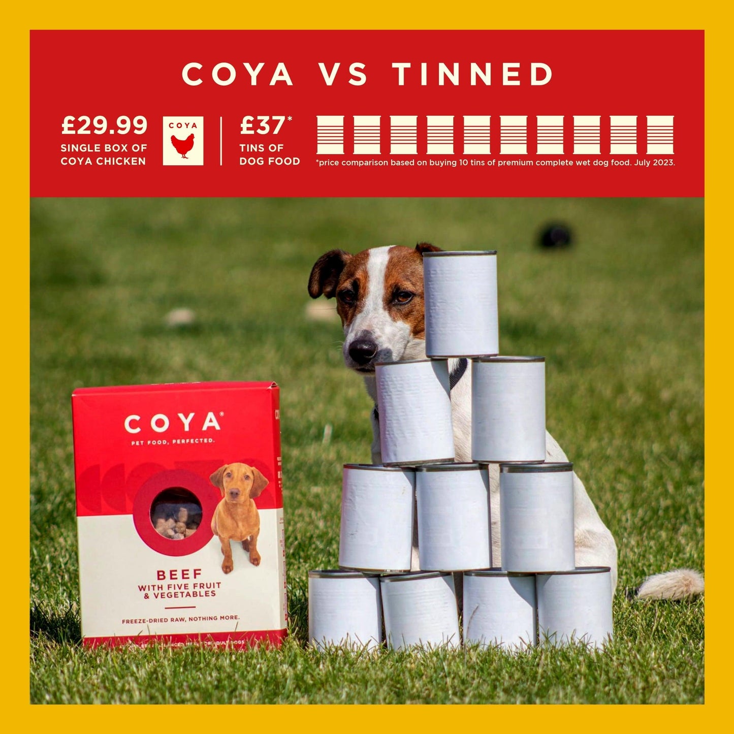 Coya Adult Dog Food - Chicken - COYA