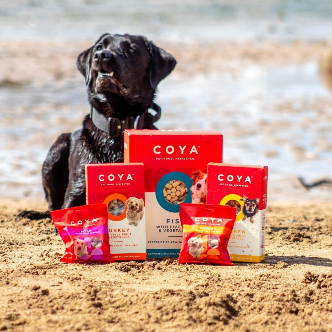 Coya Adult Dog Food - Fish - COYA