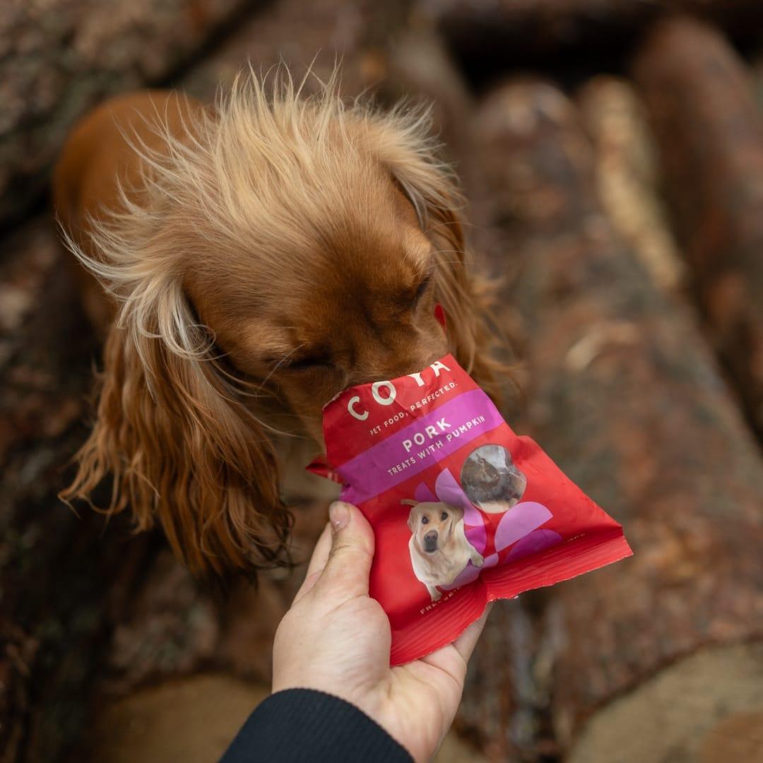 Coya Adult Dog Treats - Pork - COYA