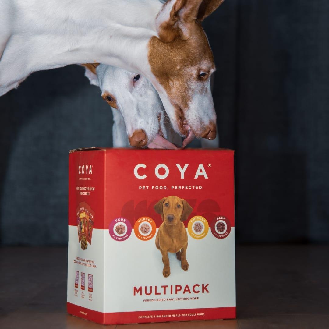 Coya Adult Dog Food - 12 x 150g Multipack - COYA