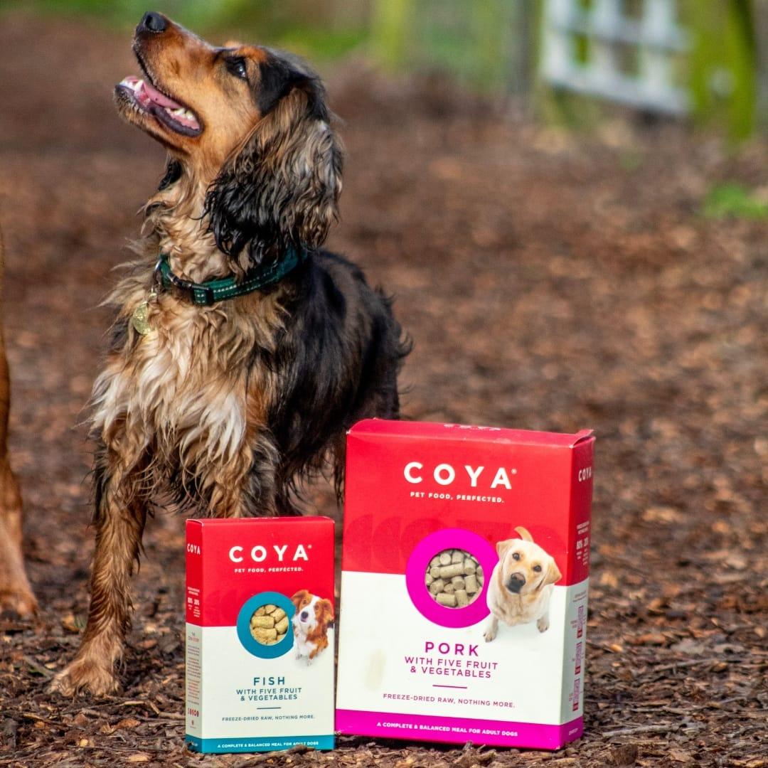 Coya Adult Dog Food - Pork - COYA