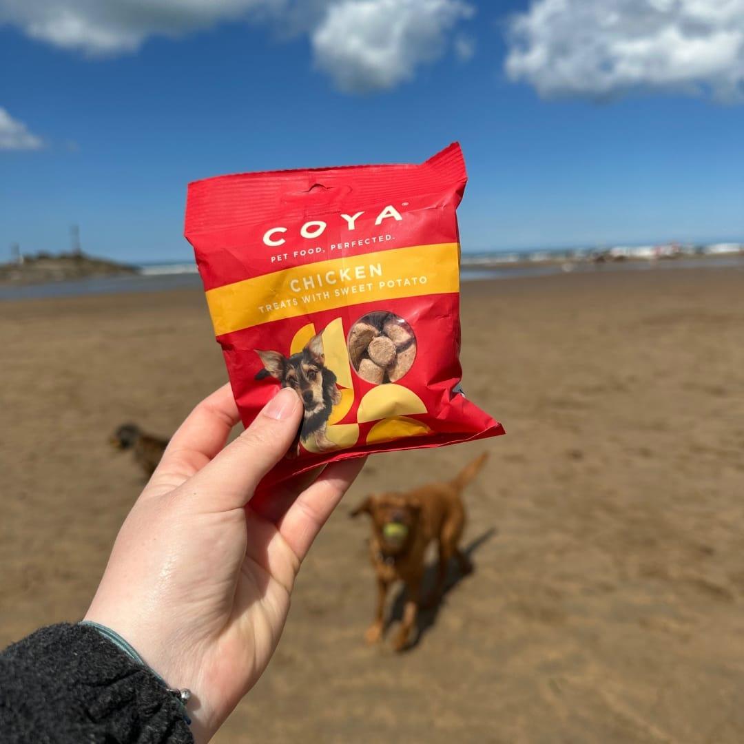 Coya Adult Dog Treats - Chicken - COYA