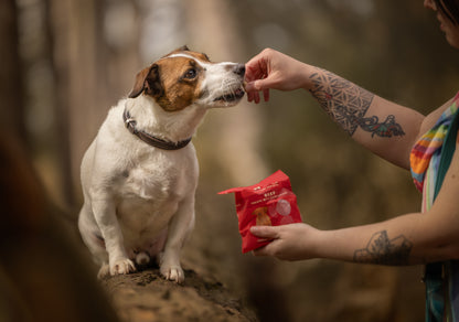 COYA Beef Dog Treats