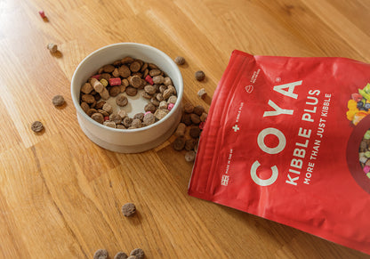 Croquettes COYA au bœuf pour adultes Plus