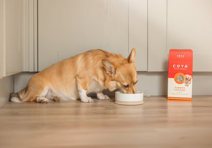 COYA Turkey Adult Dog Food