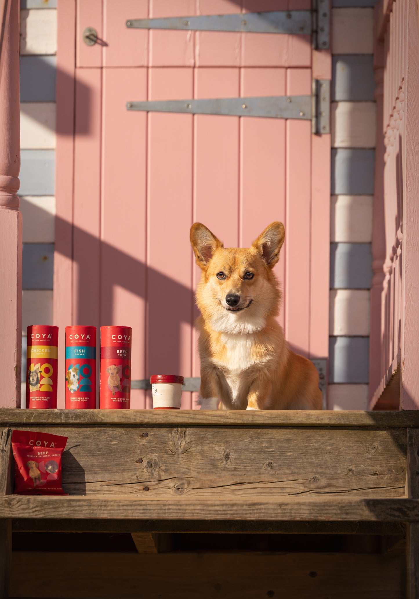 COYA Dog Topper Variety Pack