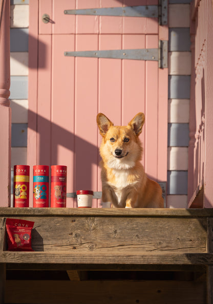 COYA Dog Topper Variety Pack