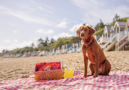 Assortiment de friandises pour chiens COYA