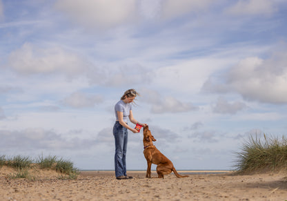 Friandises pour chiens COYA à la dinde