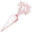 CARROT icon