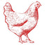 CHICKEN icon