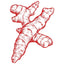 CHICORY ROOT EXTRACT icon