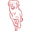 CHONDROITIN icon