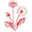 DANDELION ROOT icon