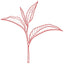 GREEN TEA icon