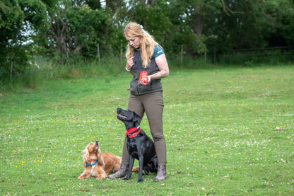 Friandises pour chiens COYA à la dinde