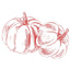 PUMPKIN icon