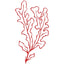 SEAWEED icon