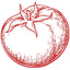 TOMATO icon